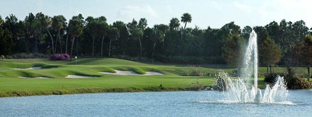Played Good golf today. "Perfect conditions".