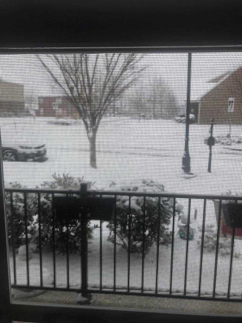 A good day to work in my home office,