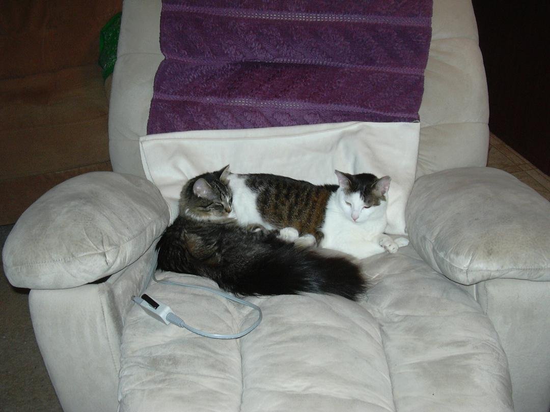 Timmy with young Button