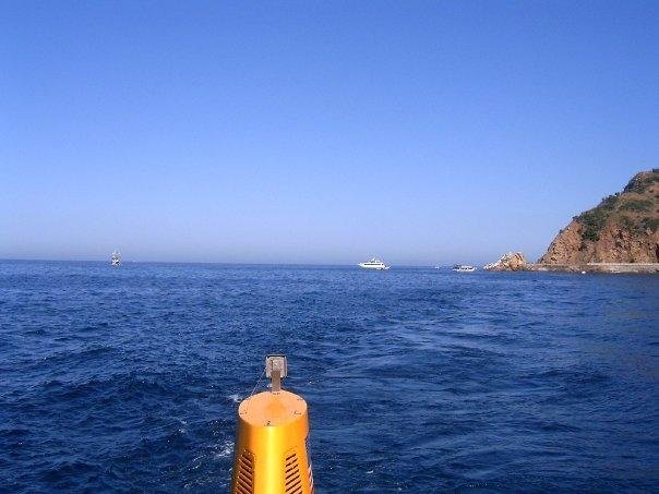 we were coming into port after checking out the fish.
and dang we did not get to fish for any of them