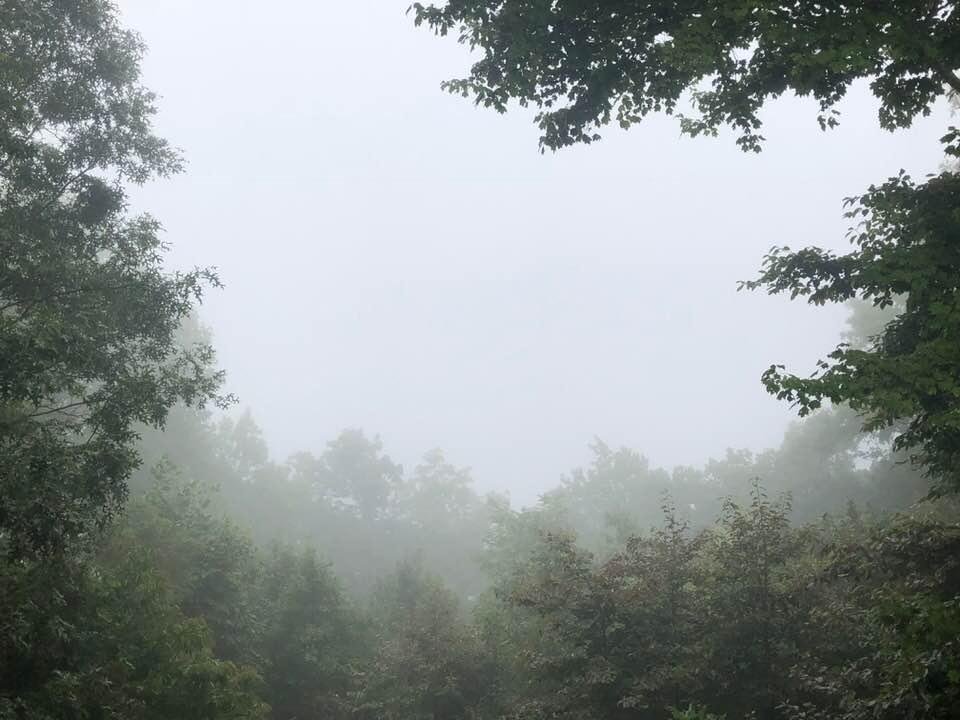 What a difference a day makes. Today was supposed to be Sunny and high of 86, what we have is Cloudy and high of 73. Time for a day of Football. Clemson, Bama, Tennessee, South Carolina and Ole Miss.