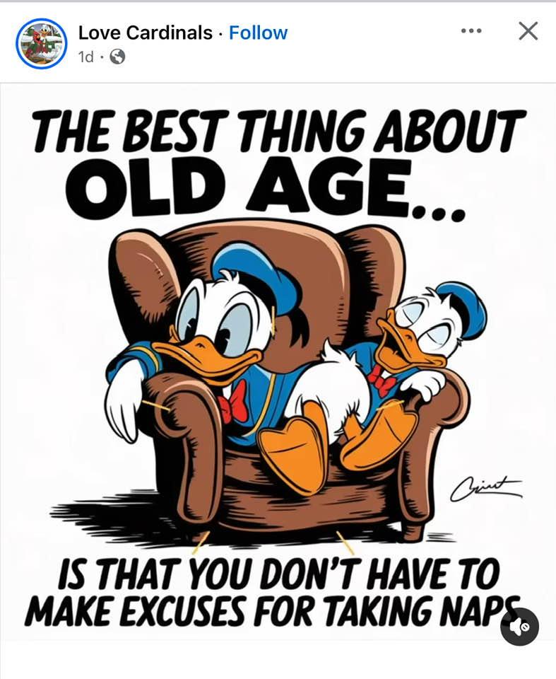 Robert Shippobotham's album, Timeline photos