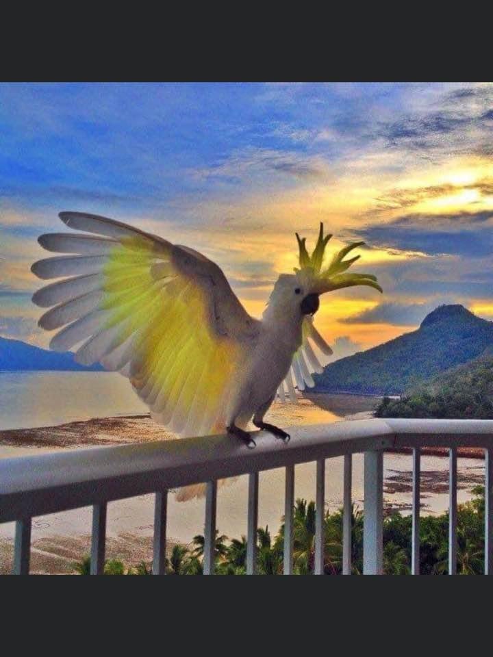 Tamra Allen's album, Timeline Photos