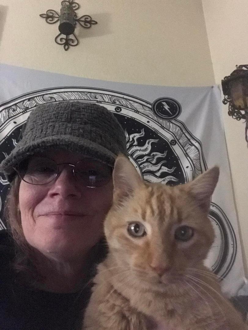 Debi Tucker's album, Mobile uploads