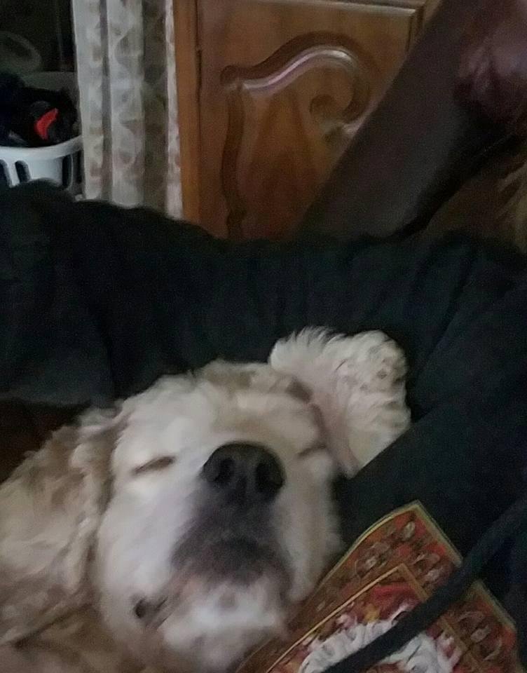 Sleeping in late cuz I can LOL