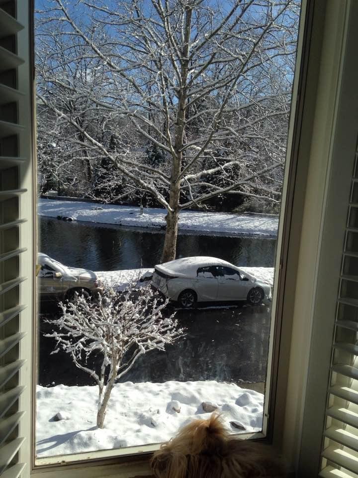 Woke up to a beautiful snow this morning