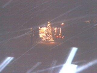 Kept the lites up for the snow!!!!