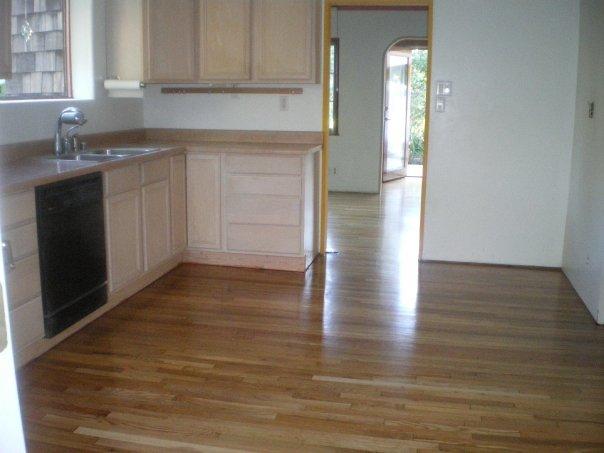From back door across kitchen to dining room and front door.
