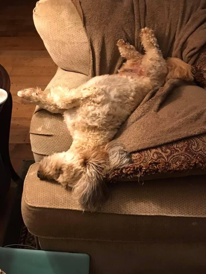 McGee sleeps wierd😊