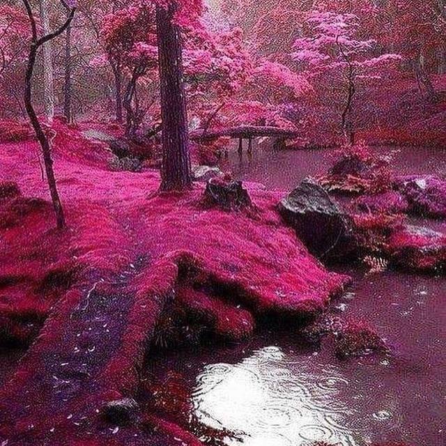 Suzanne Johnson's album, Timeline photos
