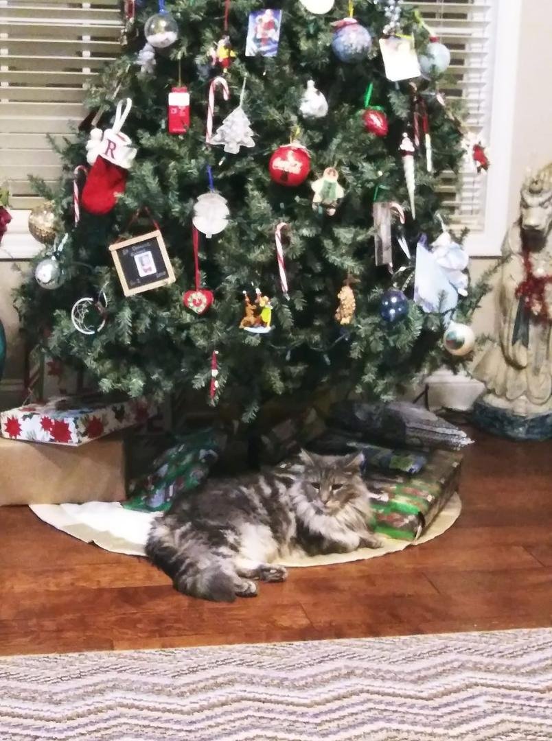 We had one of those under the tree last year - did someone regift?????
