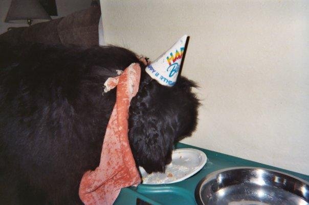 eating birthday cake