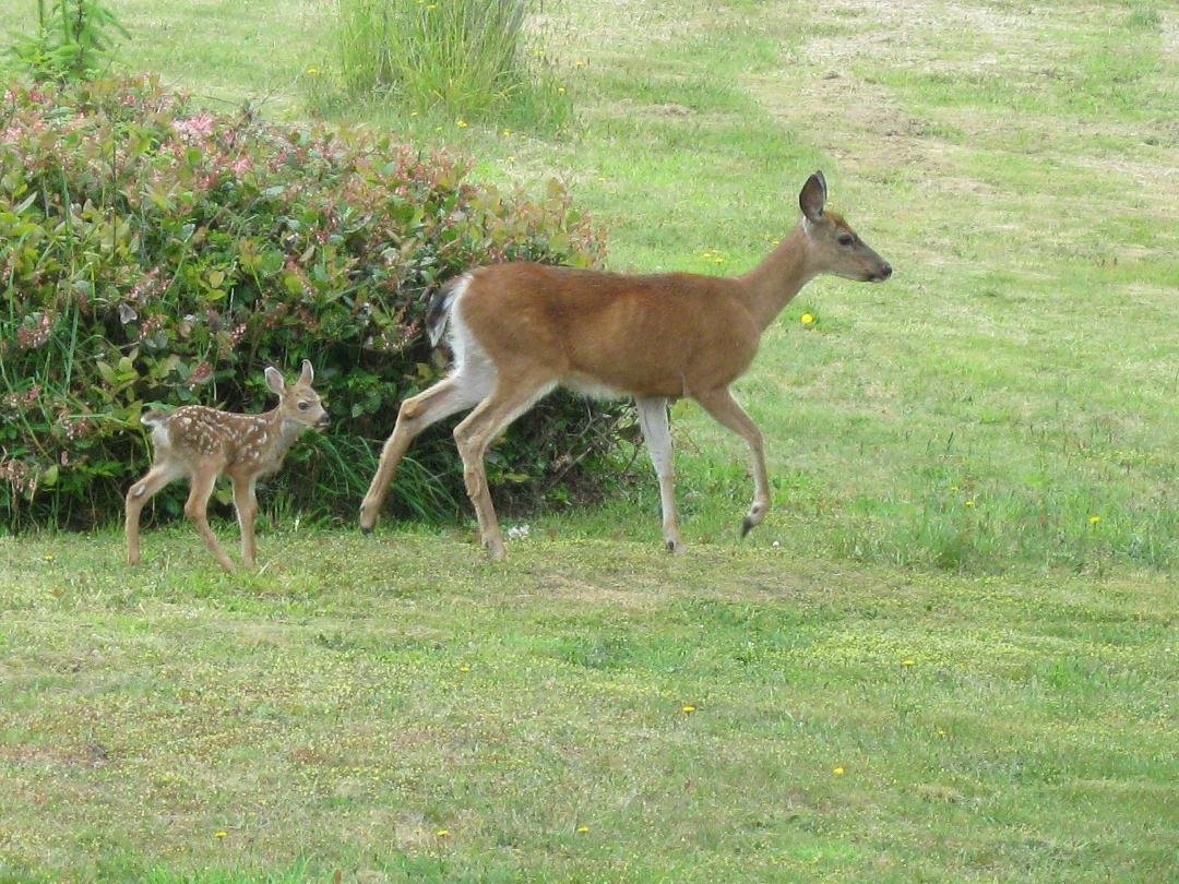 Taken June 12. Just after her lunch