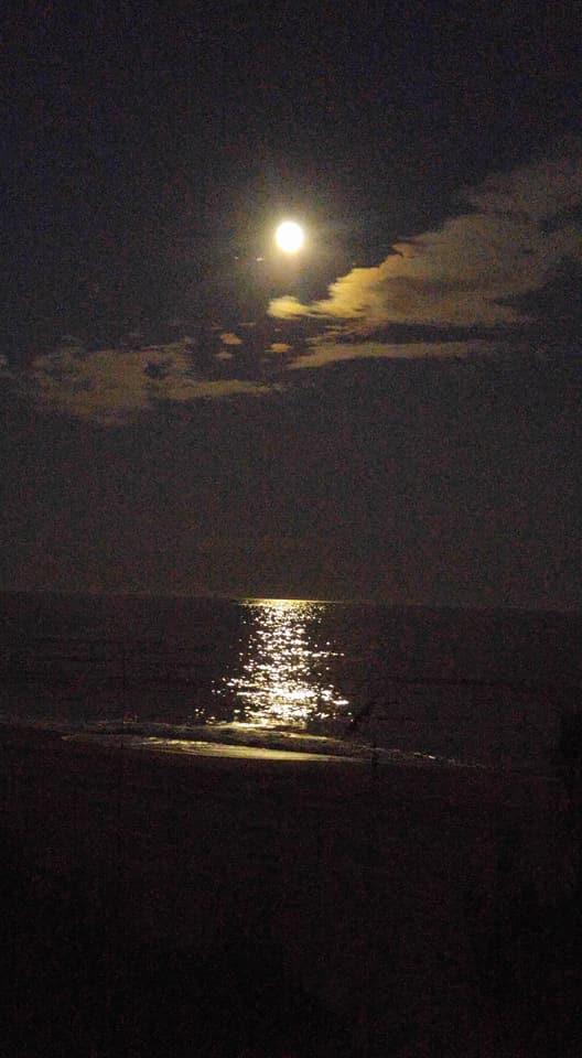 Robert McCardle's album, Mobile uploads
