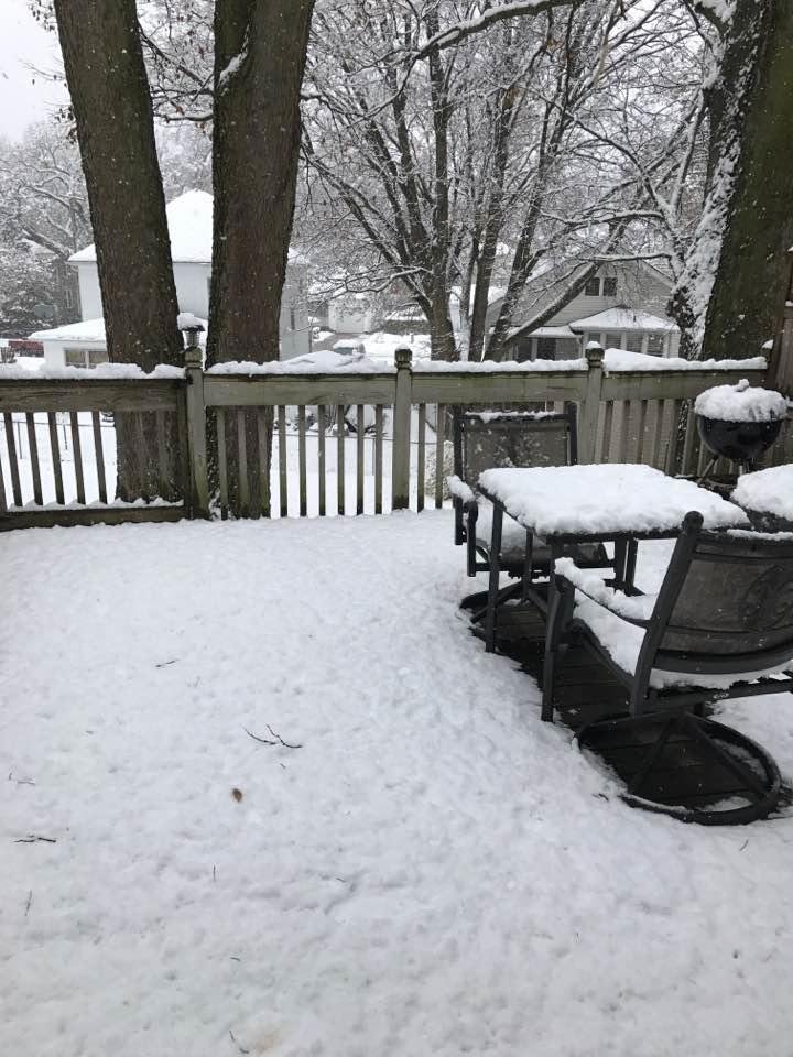 Beautiful snowy scene from my backyard