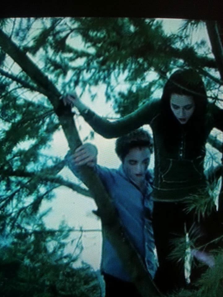 We did that in cuyamaca...was so scarry...Richard reminds me of twilight............ ...