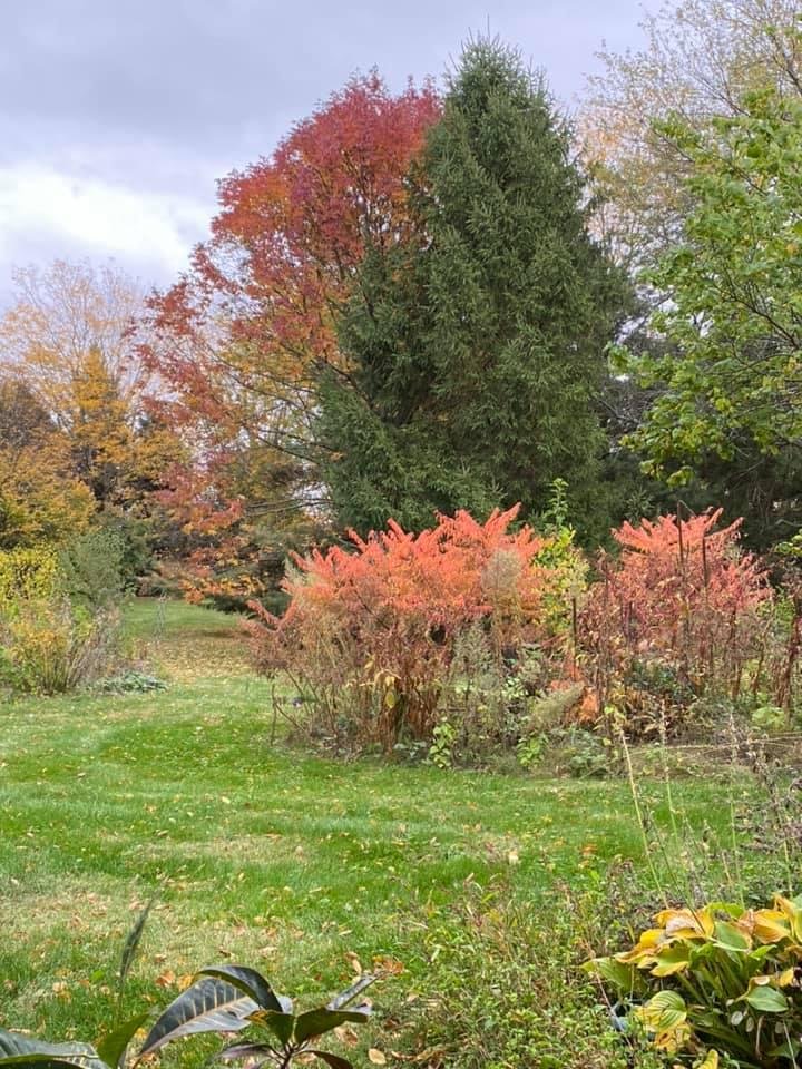 💖 LOVE God’s color palette ! View from my prayer chair this morning😮😮🥳🥳🤗🤗💖💝💞💕