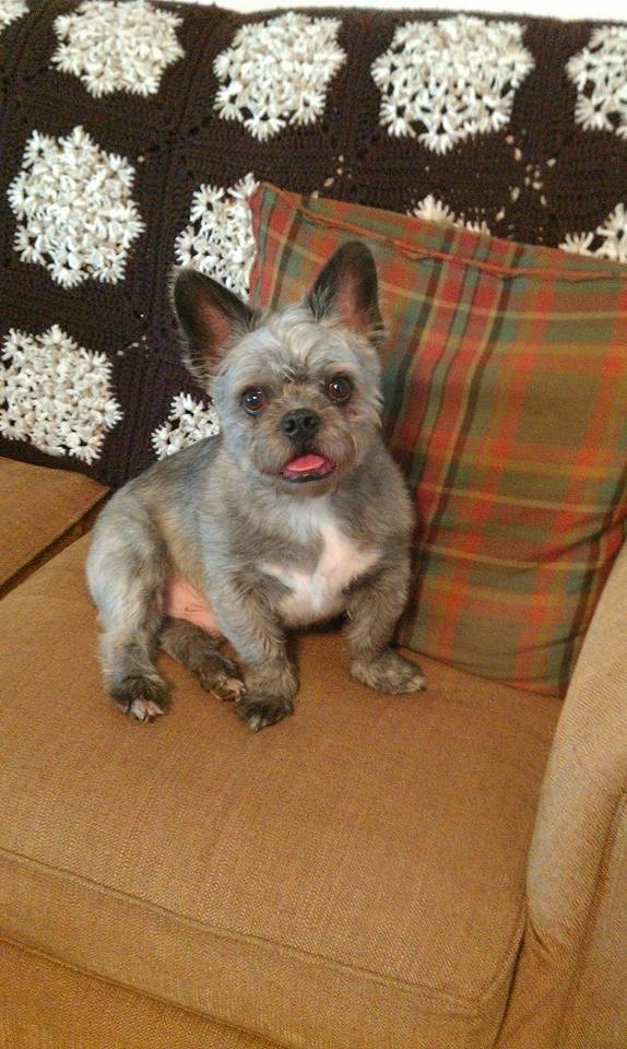 Back in healthier times, when he wasn't much more than a puppy.