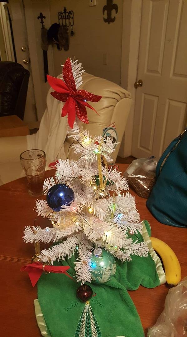 Our little tree