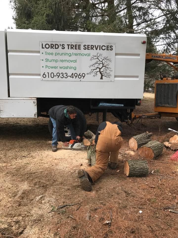 Some people get flowers I get tree removal. I get to help too