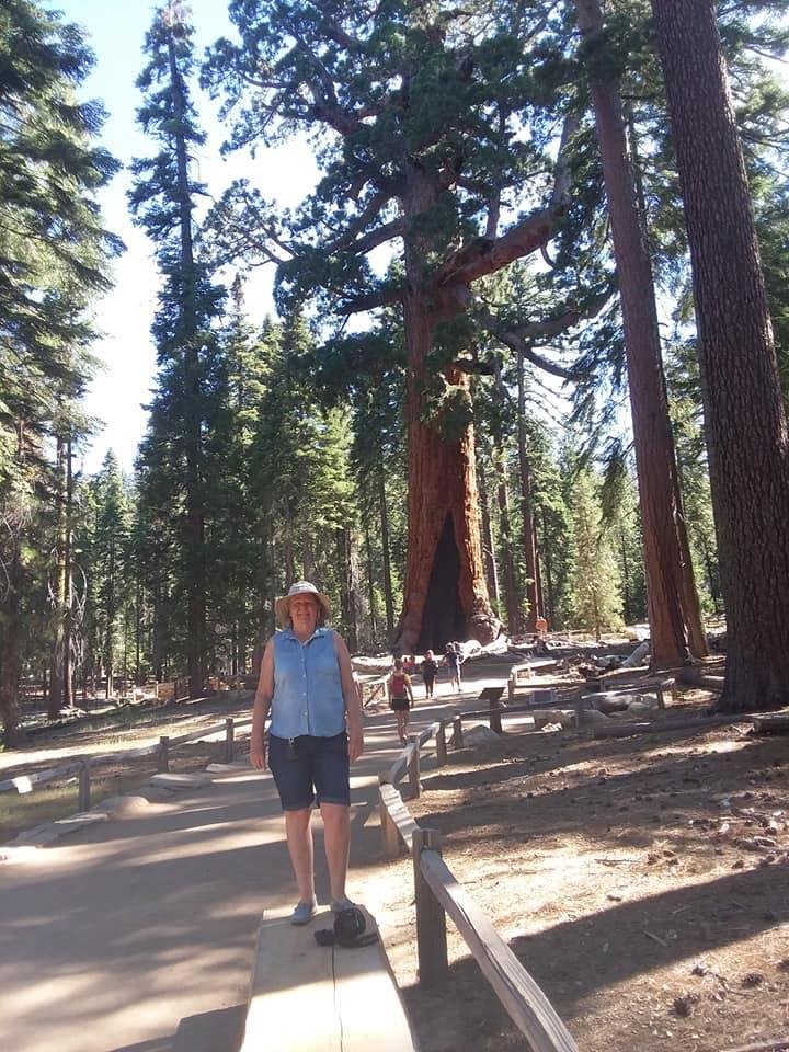 Allan Boyer's album, Mobile Uploads