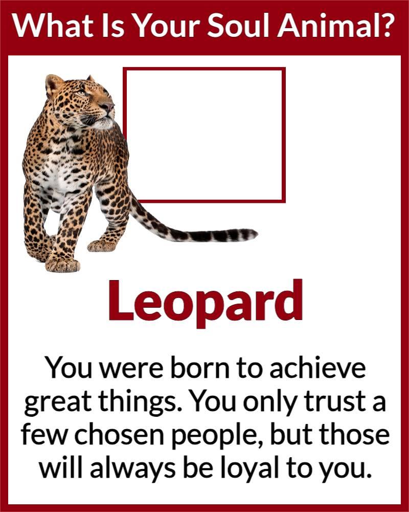 William Smith's album, Timeline photos
