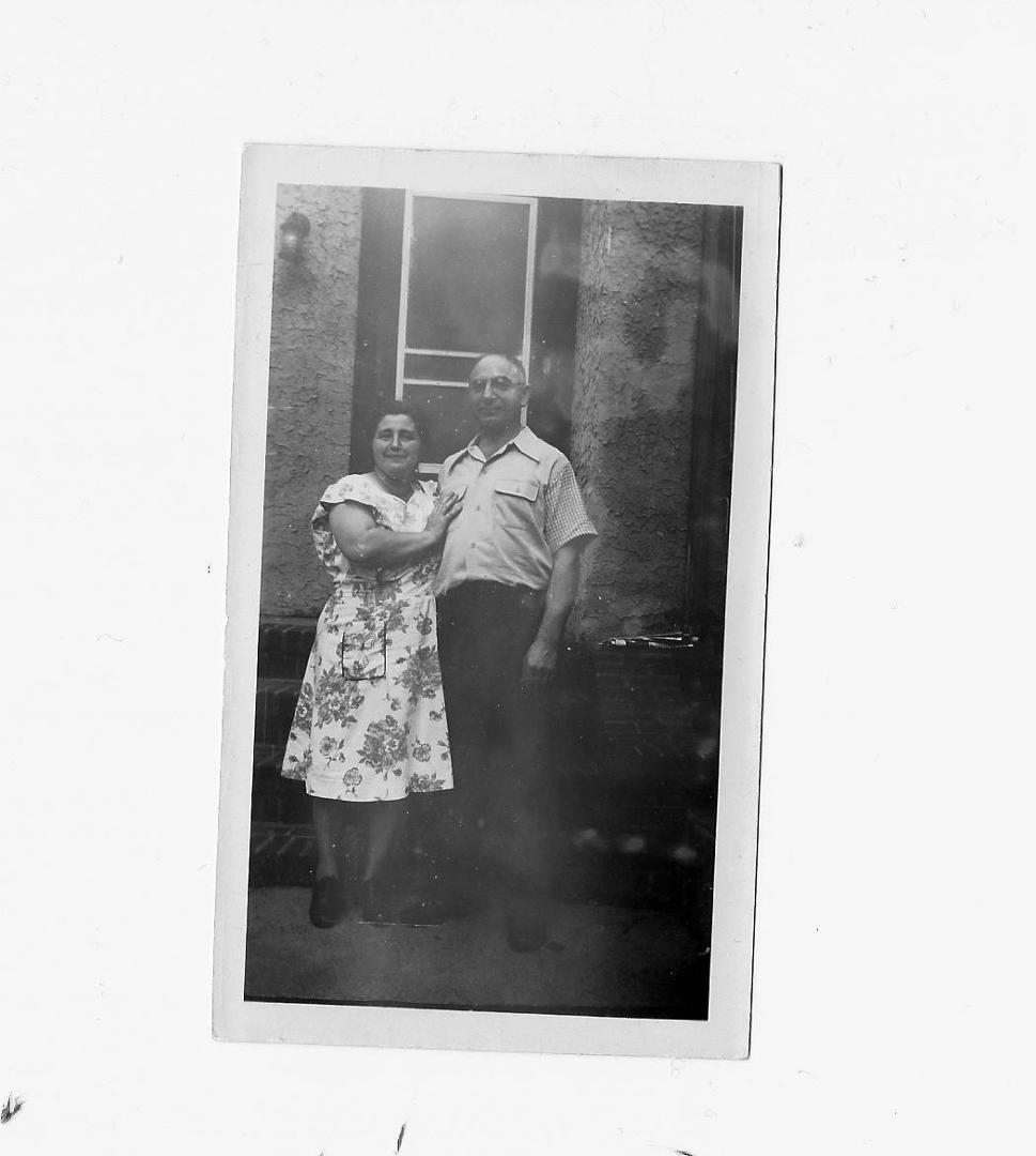 Fannie and Sol Levenstein