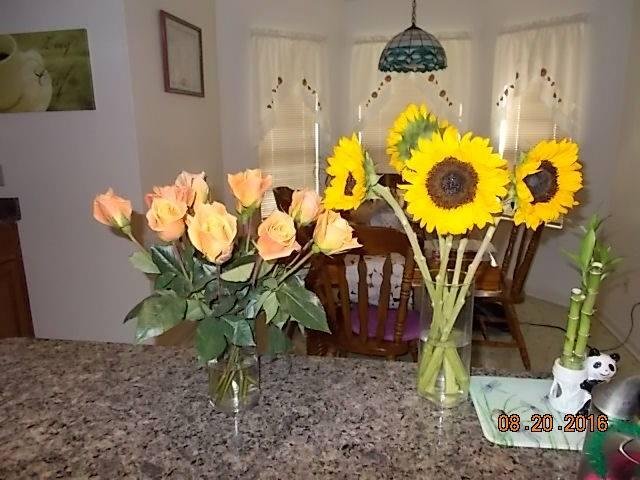 To all those detractors who say I never buy flowers for my wife, take a look at this photographic evidence. So get off my damn back ya'll.