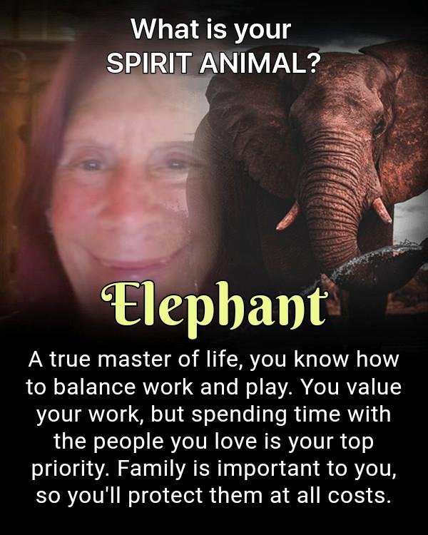 Sharon Leary's album, Timeline Photos
