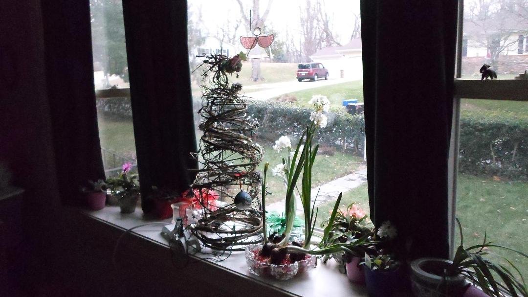 Joanne Walton's album, Timeline Photos