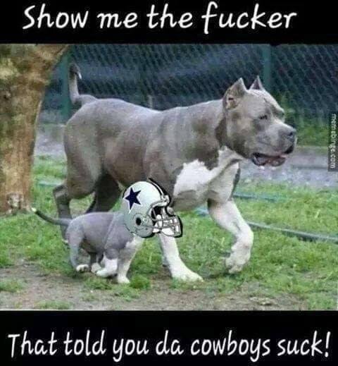 David Stipek's album, Timeline photos