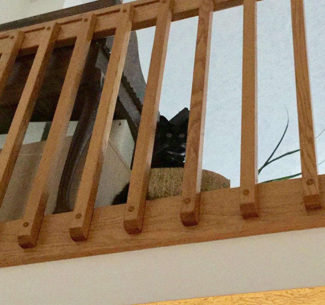 When I looked up I'm not sure if this is my angel or the devil looking over me.