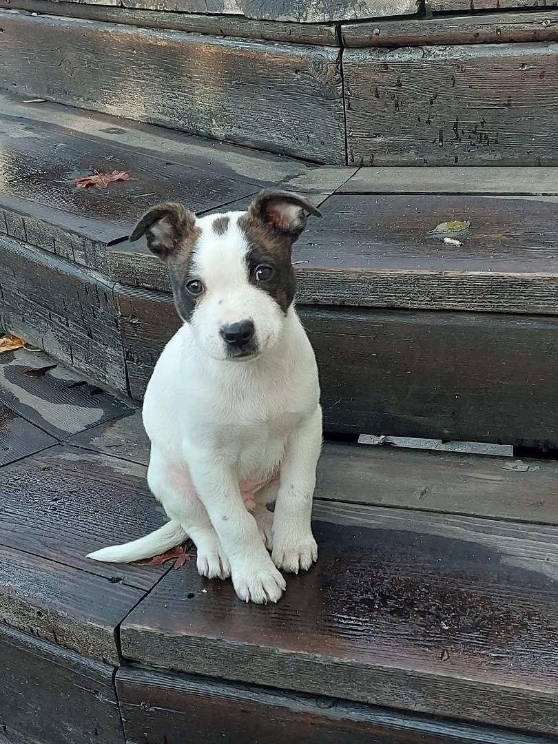 Meet Kevin