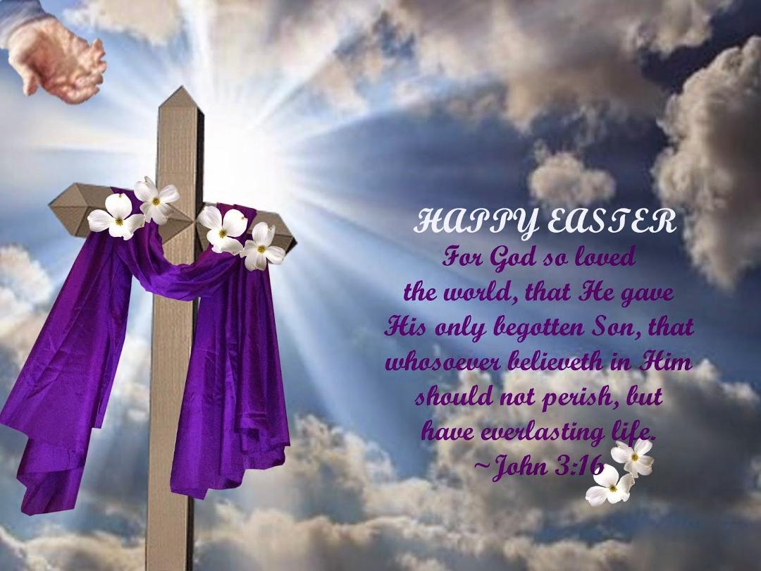 Vicki Milam's album, Timeline photos