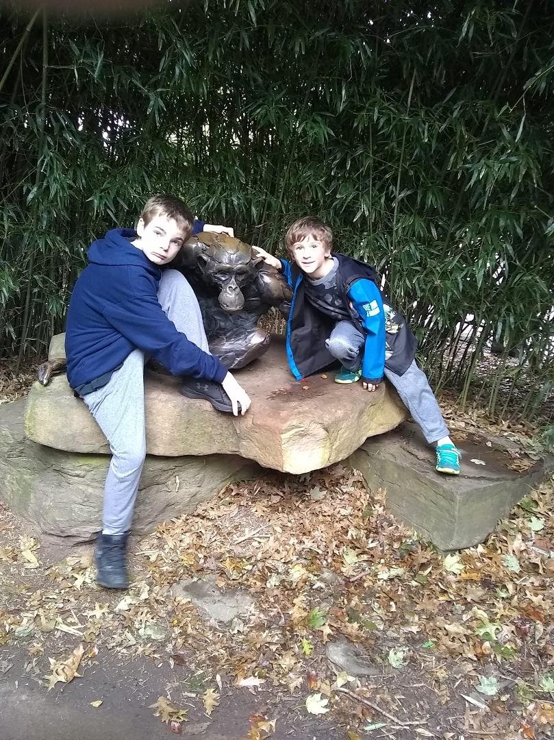 Three little monkeys sitting on a rock