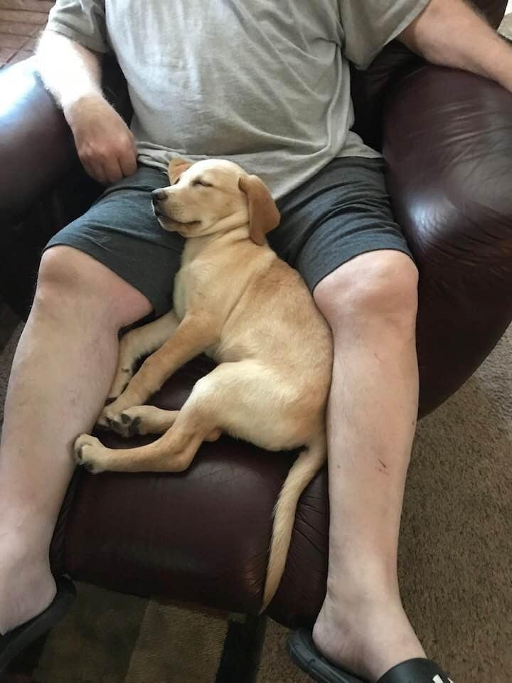 Bubba is very comfy at his new home!!!