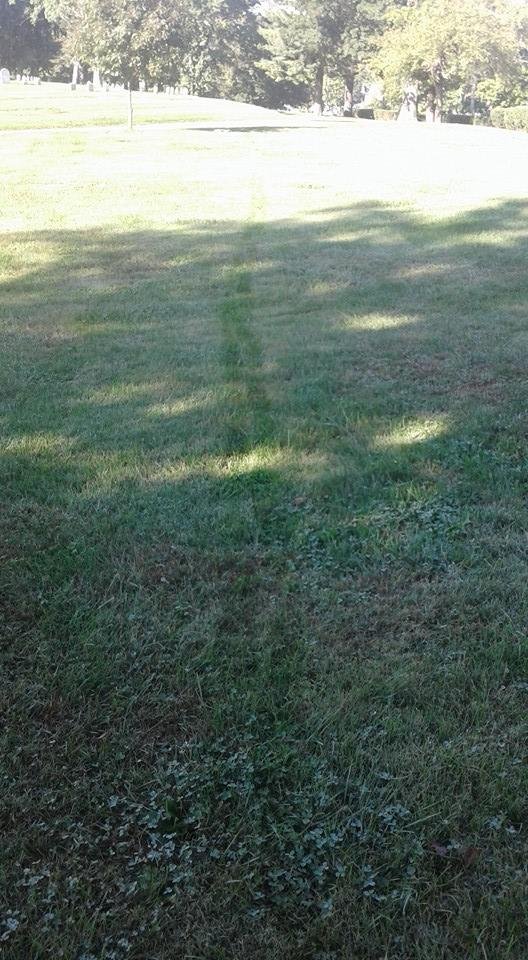 Terry Young's album, Timeline Photos