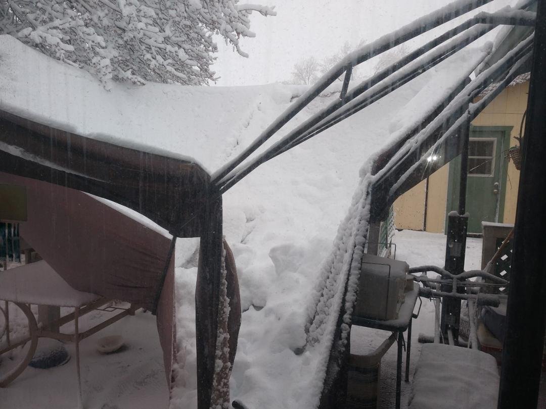 Lookin out my back door, busted gazeebo!