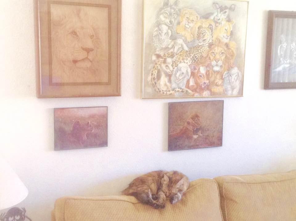 My Shiloh resting peacefully under the pictures of her "cousins". 😋😄