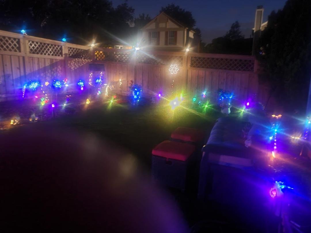 This is my bsck yard at night.