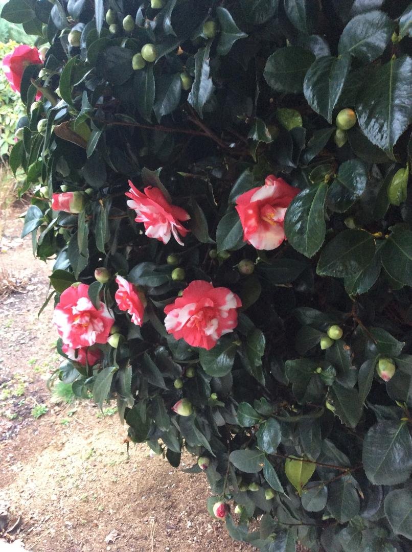 Ann Gilbert's album, Timeline Photos