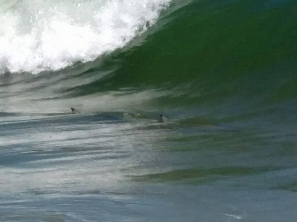 Jaw's visits Myrtle Beach