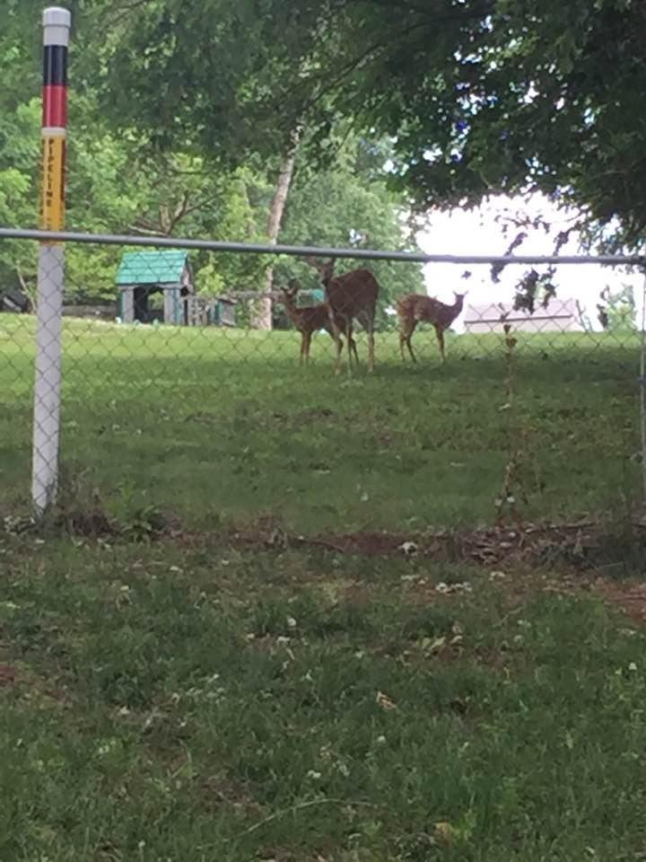 Julee Cornelius Manahan's album, Timeline Photos