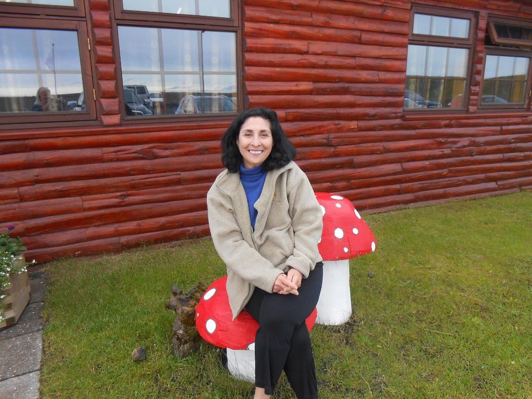 Ellen's on shrooms in Iceland.