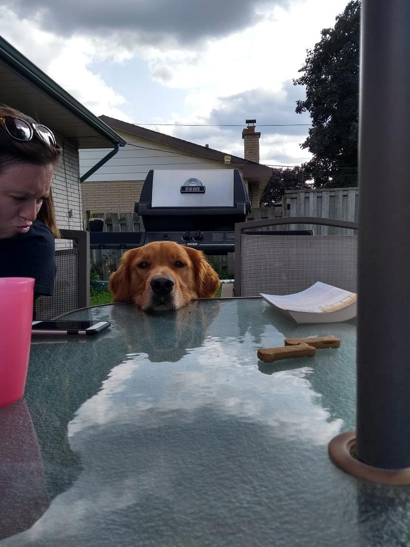 Emily and Levi keeping me company for a month or so