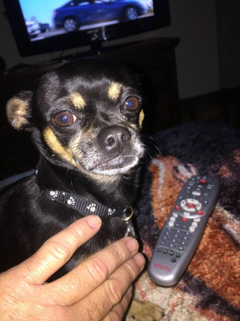 Come on people. Look at that face
