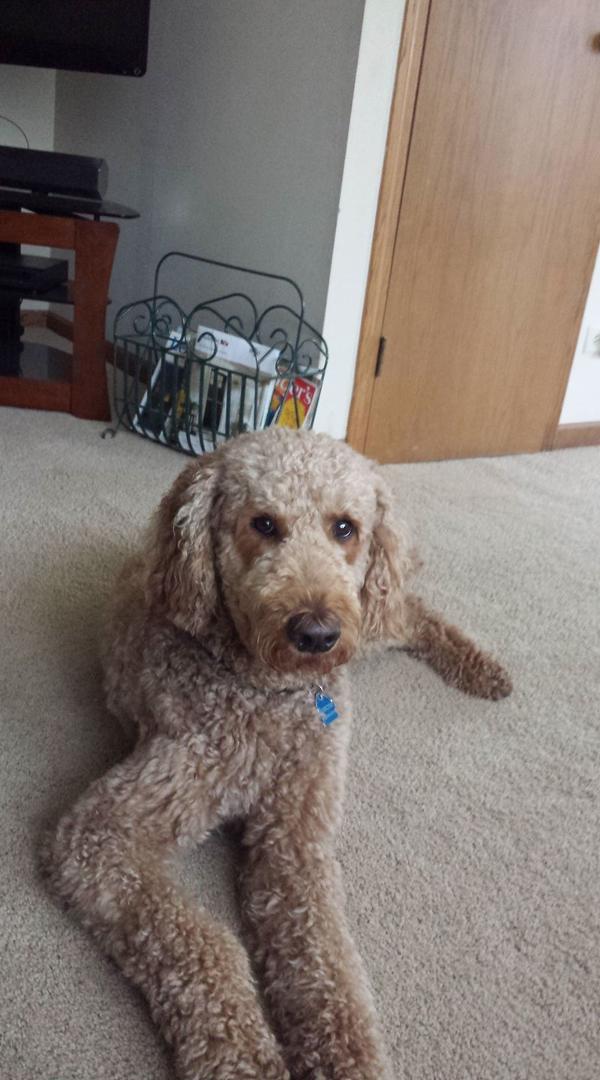 Your little buddy told me to send you a photo of himself, to show you how cute he is, and show you how much fun he is having. Actuaaly, I have never taken a photo with this dumb-phone, an sent it with  a message attached, s