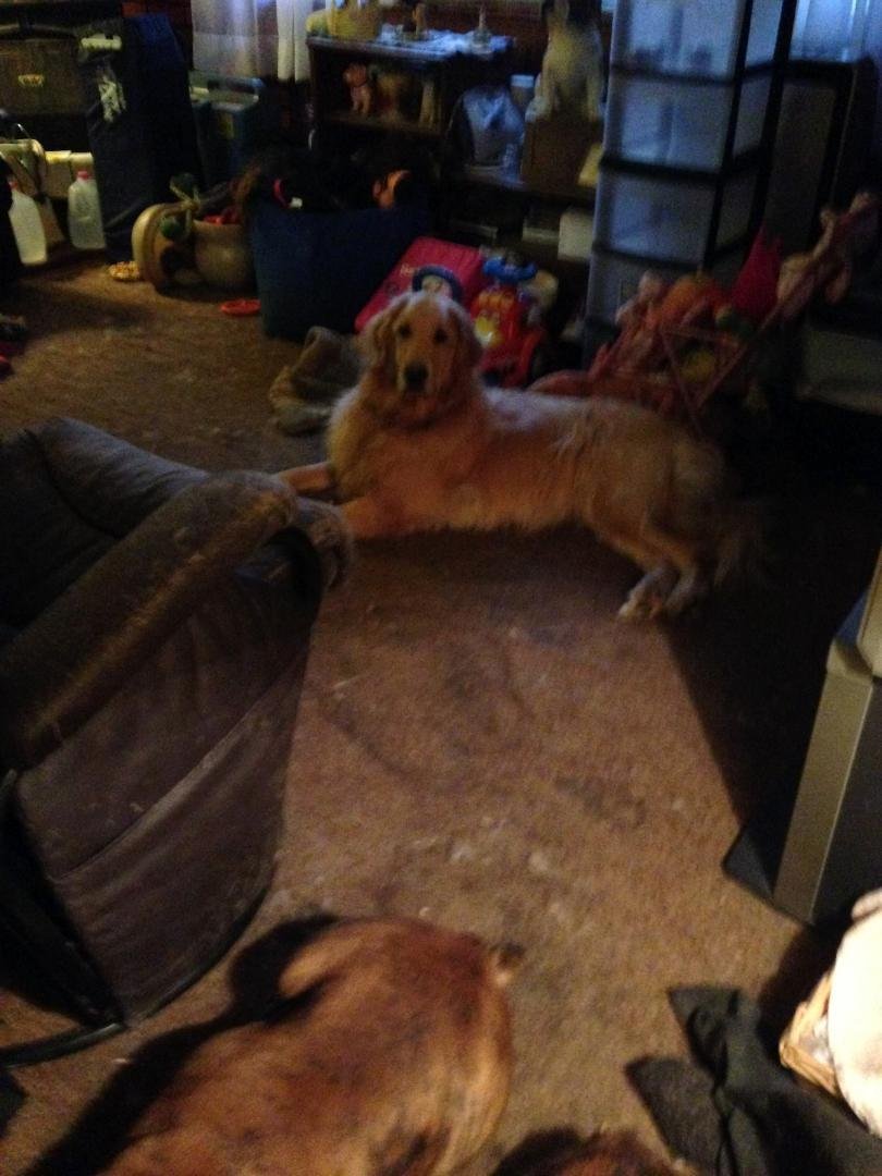 Maureen Minecci's album, iOS Photos