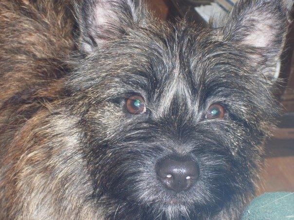 Sept. 2008..aren't I cute!