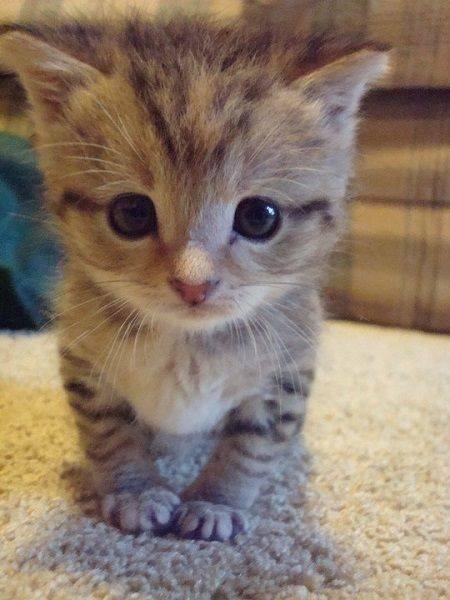 Things that make you go Awwwwwwww..